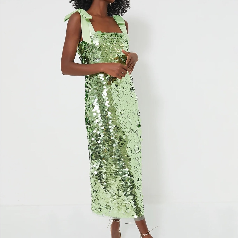 NWT Tuckernuck Mint Chip Sequin Roxy Dress